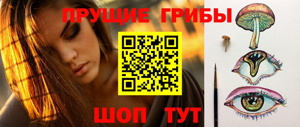 Галлюциногенные грибы Cubensis Кумертау
