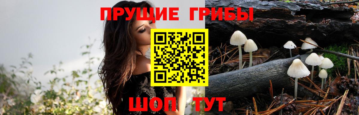 Галлюциногенные грибы прущие грибы  Вход с VPN  как найти наркотики  Кумертау 